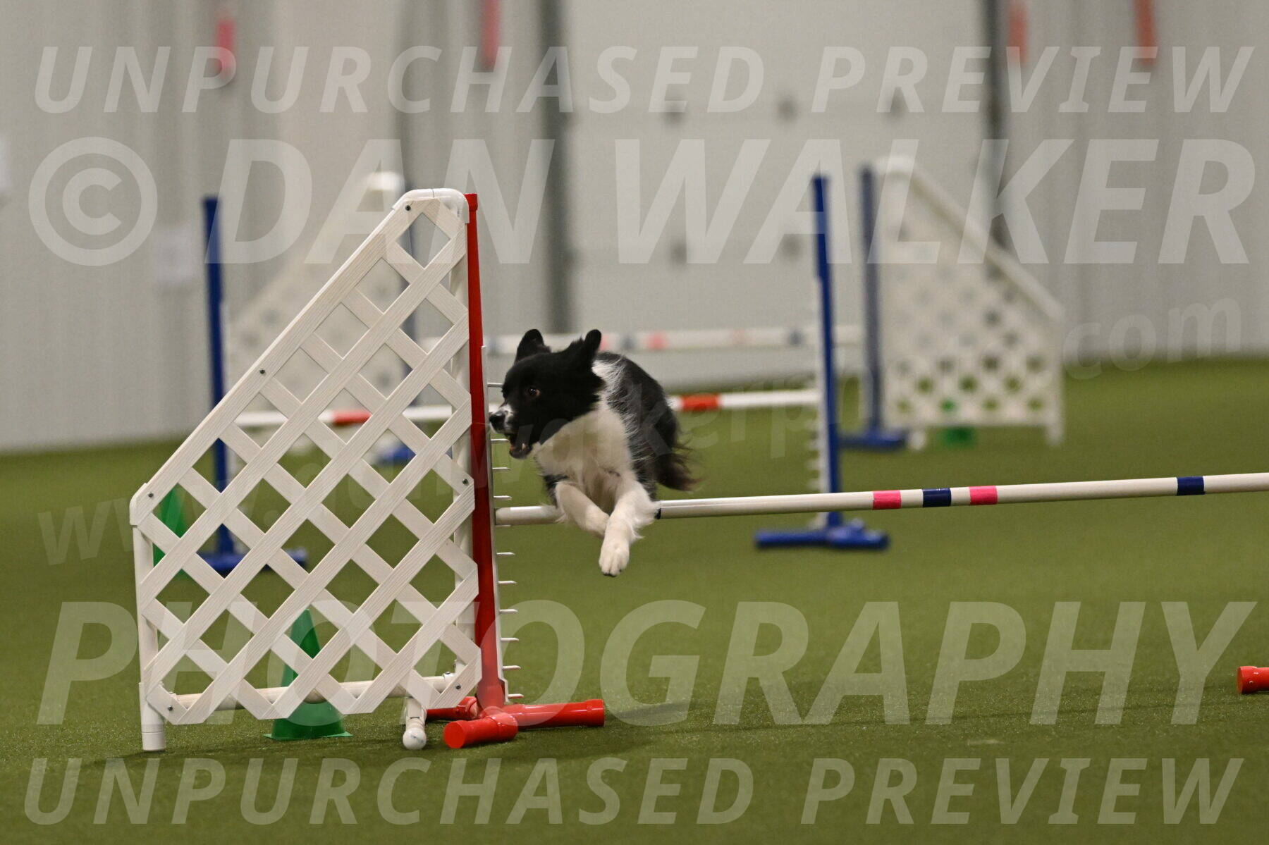 Esme-Samantha-Yanchik-01015