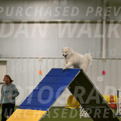 Expo-Pam-Lewis-03985