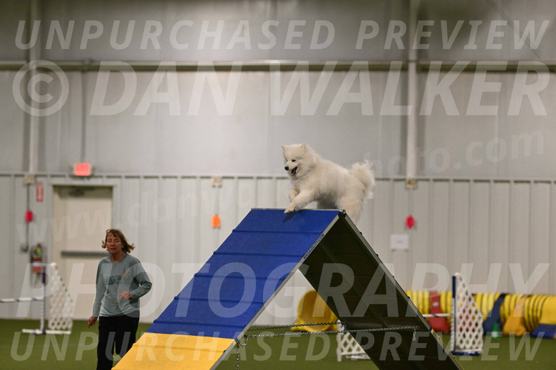 Expo-Pam-Lewis-03985