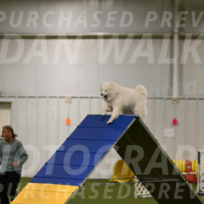 Expo-Pam-Lewis-03986