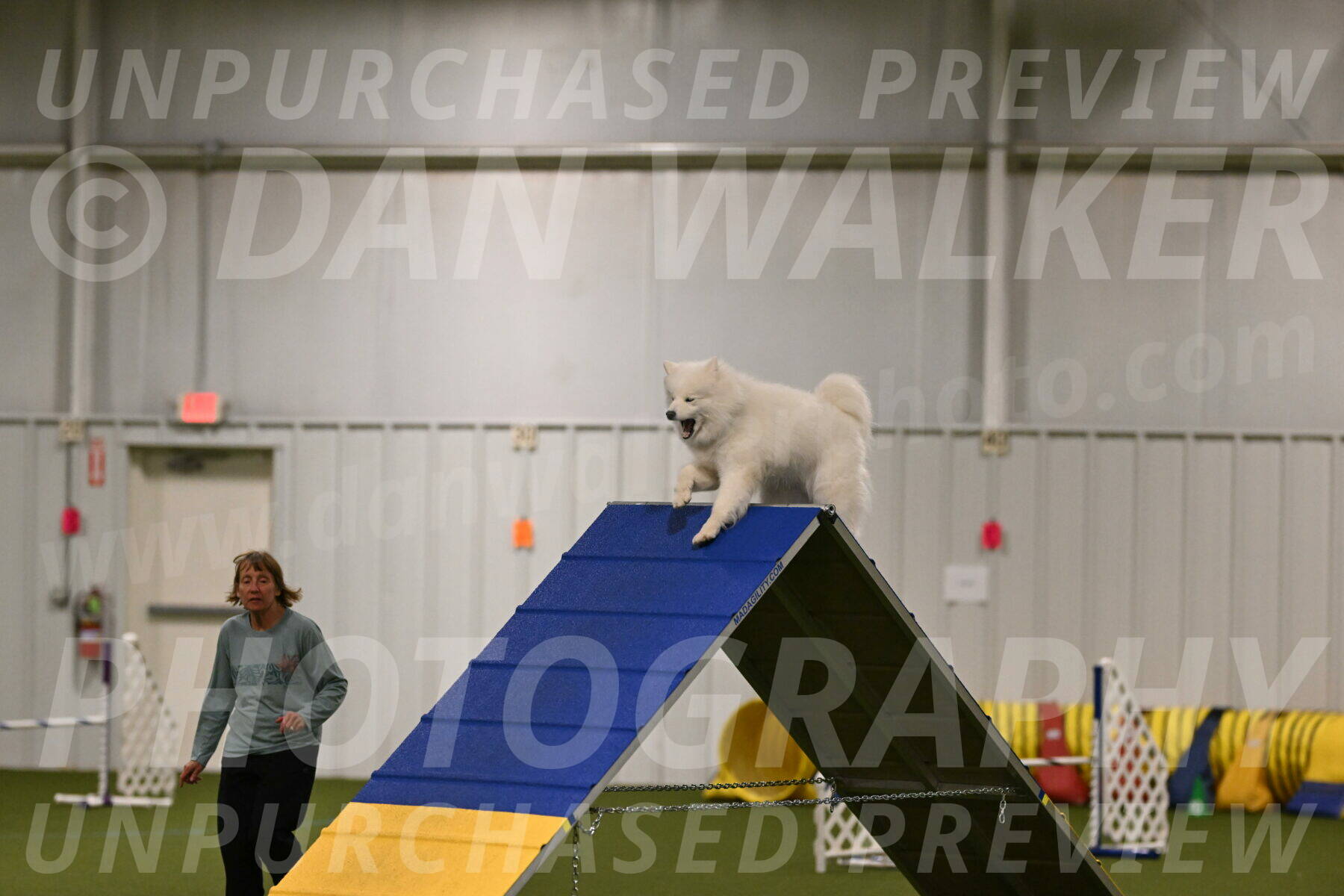 Expo-Pam-Lewis-03986