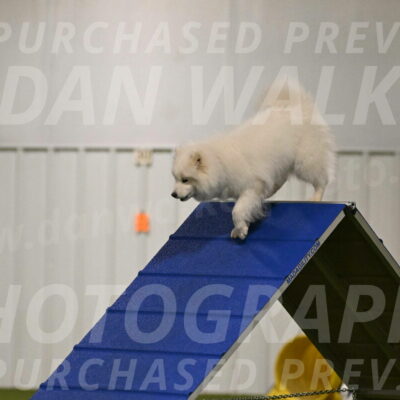 Expo-Pam-Lewis-03987