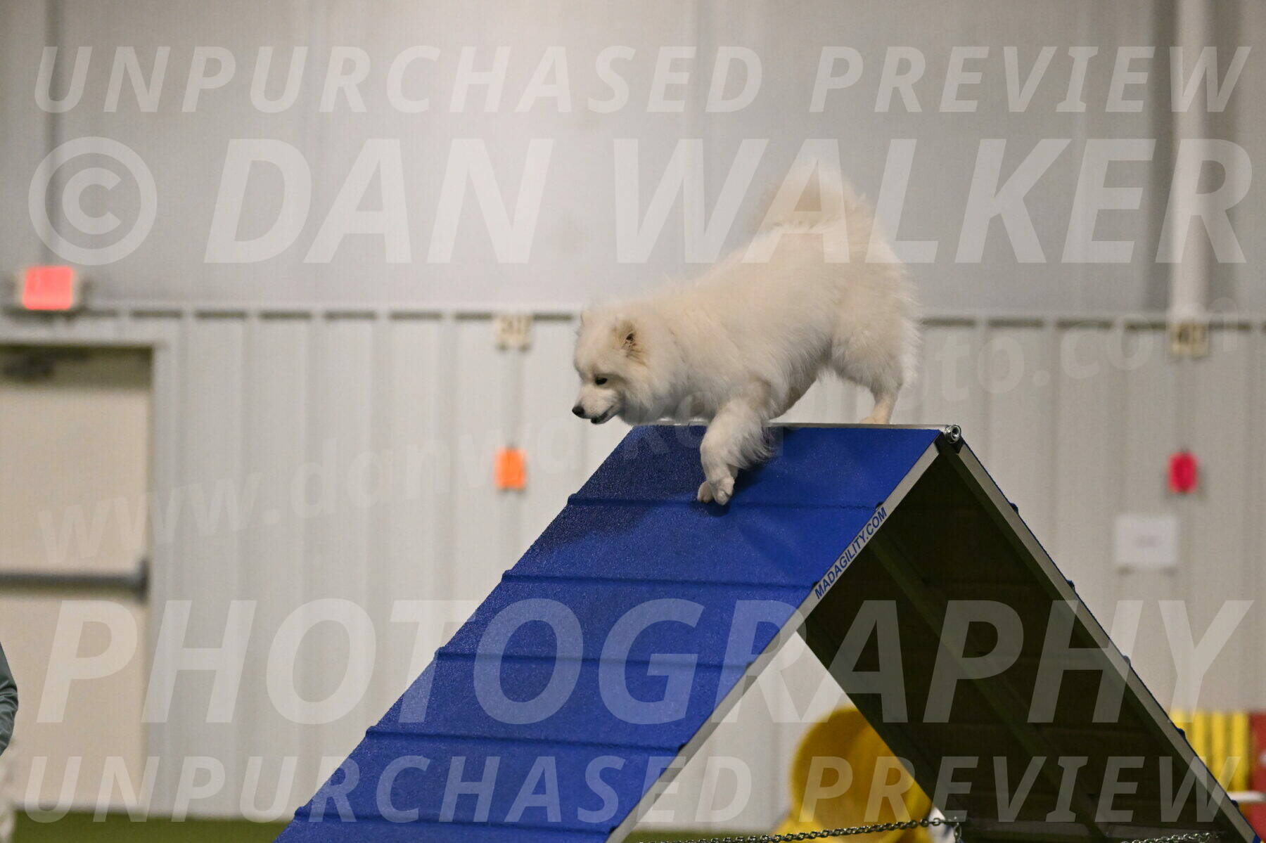 Expo-Pam-Lewis-03987