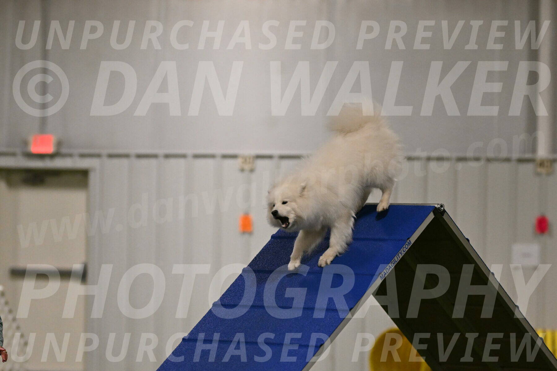 Expo-Pam-Lewis-03988