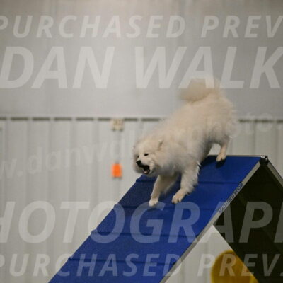 Expo-Pam-Lewis-03988