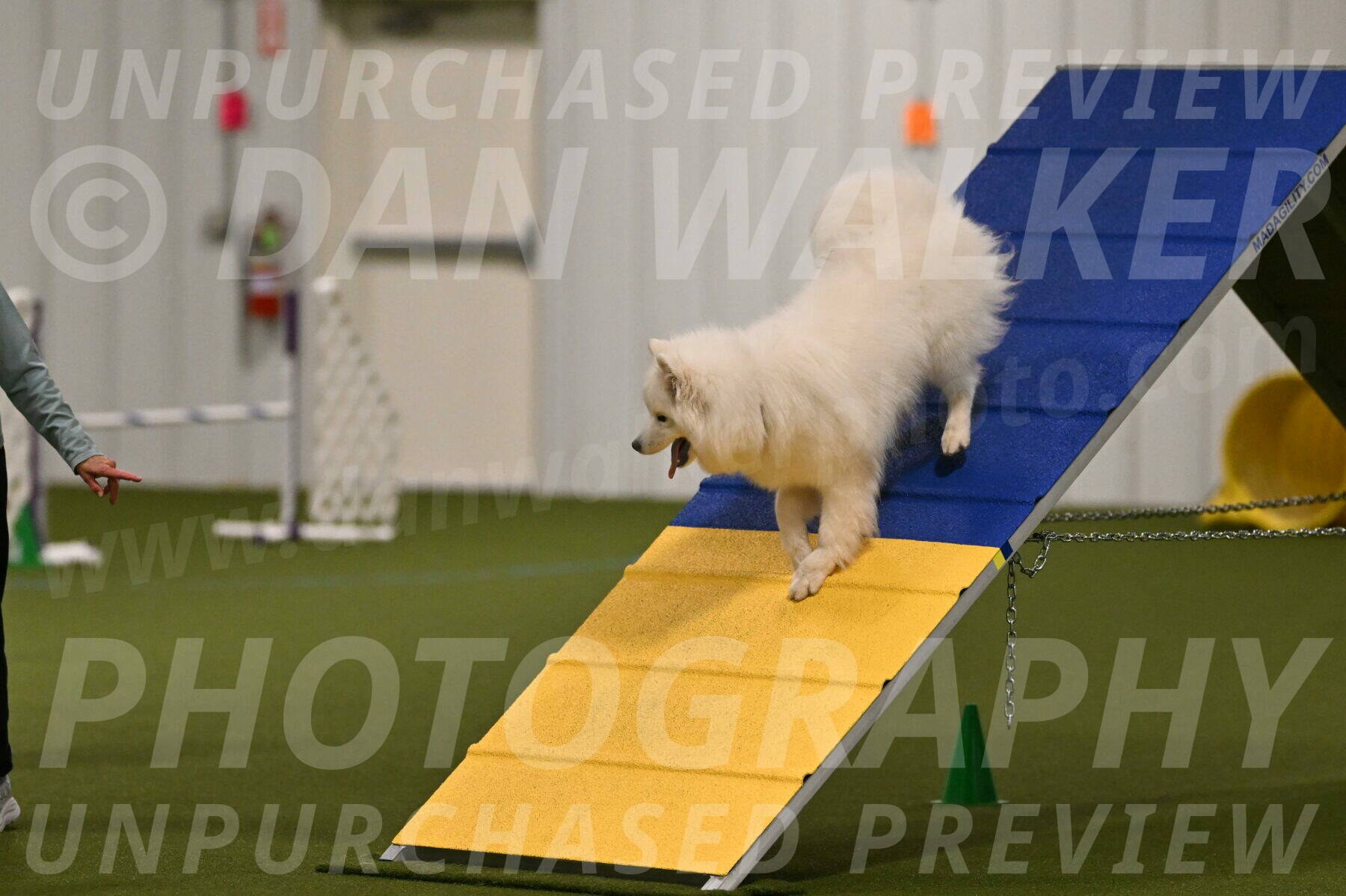 Expo-Pam-Lewis-03989