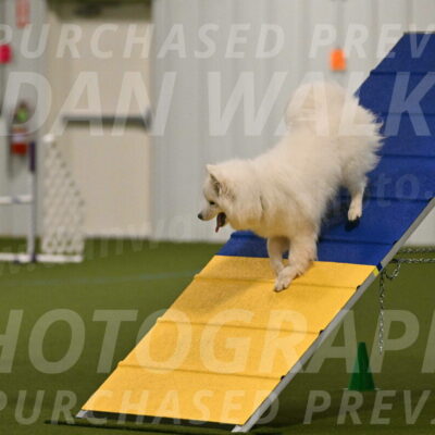 Expo-Pam-Lewis-03989