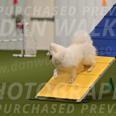 Expo-Pam-Lewis-03990