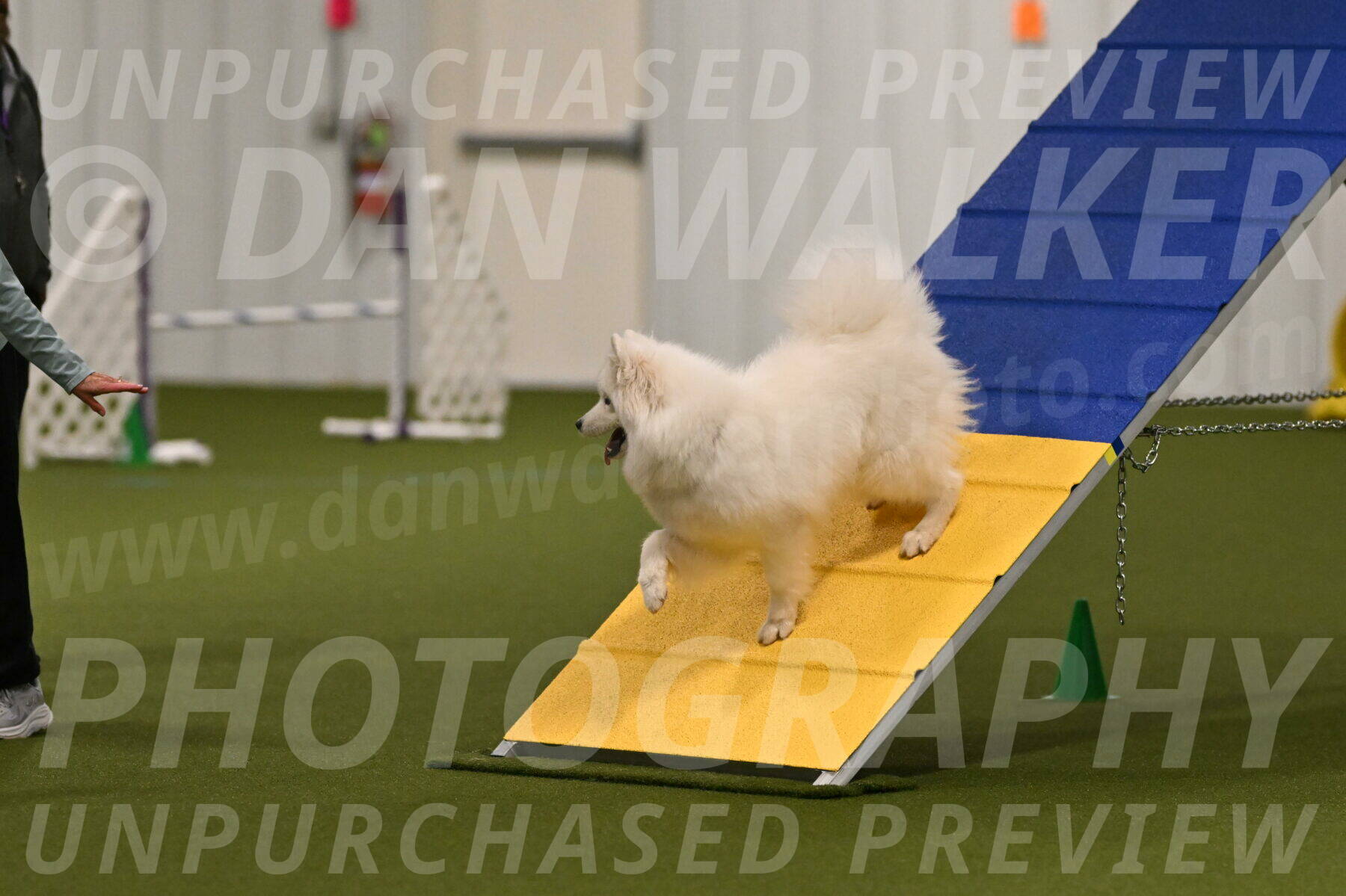 Expo-Pam-Lewis-03990