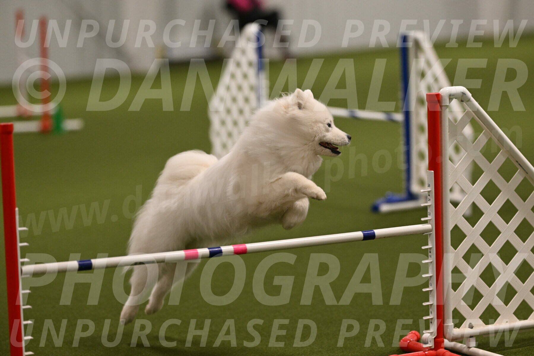 Expo-Pam-Lewis-03991