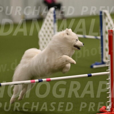 Expo-Pam-Lewis-03991