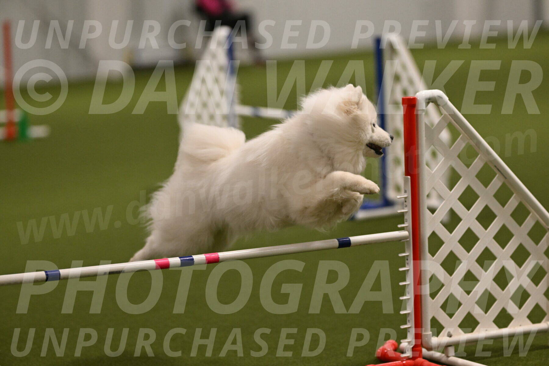 Expo-Pam-Lewis-03992