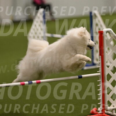 Expo-Pam-Lewis-03992