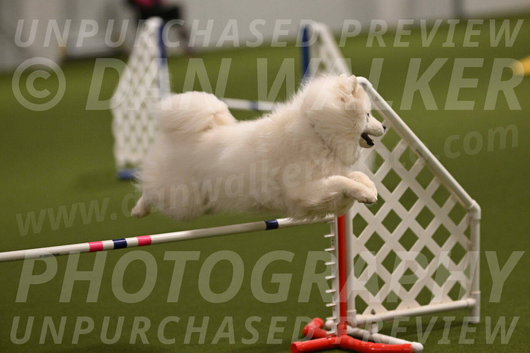 Expo-Pam-Lewis-03993