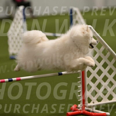 Expo-Pam-Lewis-03993