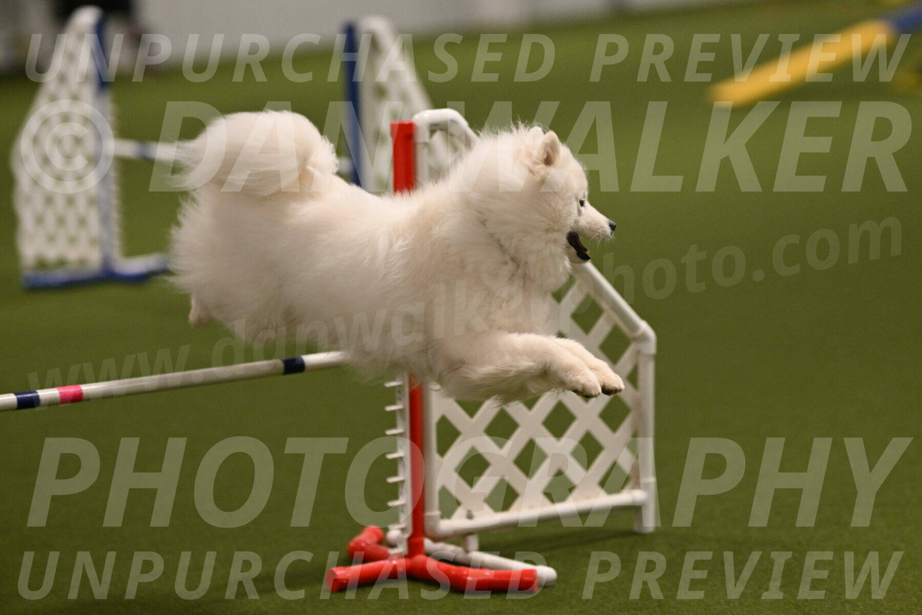 Expo-Pam-Lewis-03994