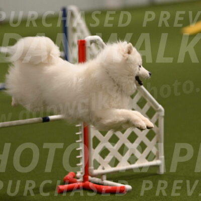 Expo-Pam-Lewis-03994