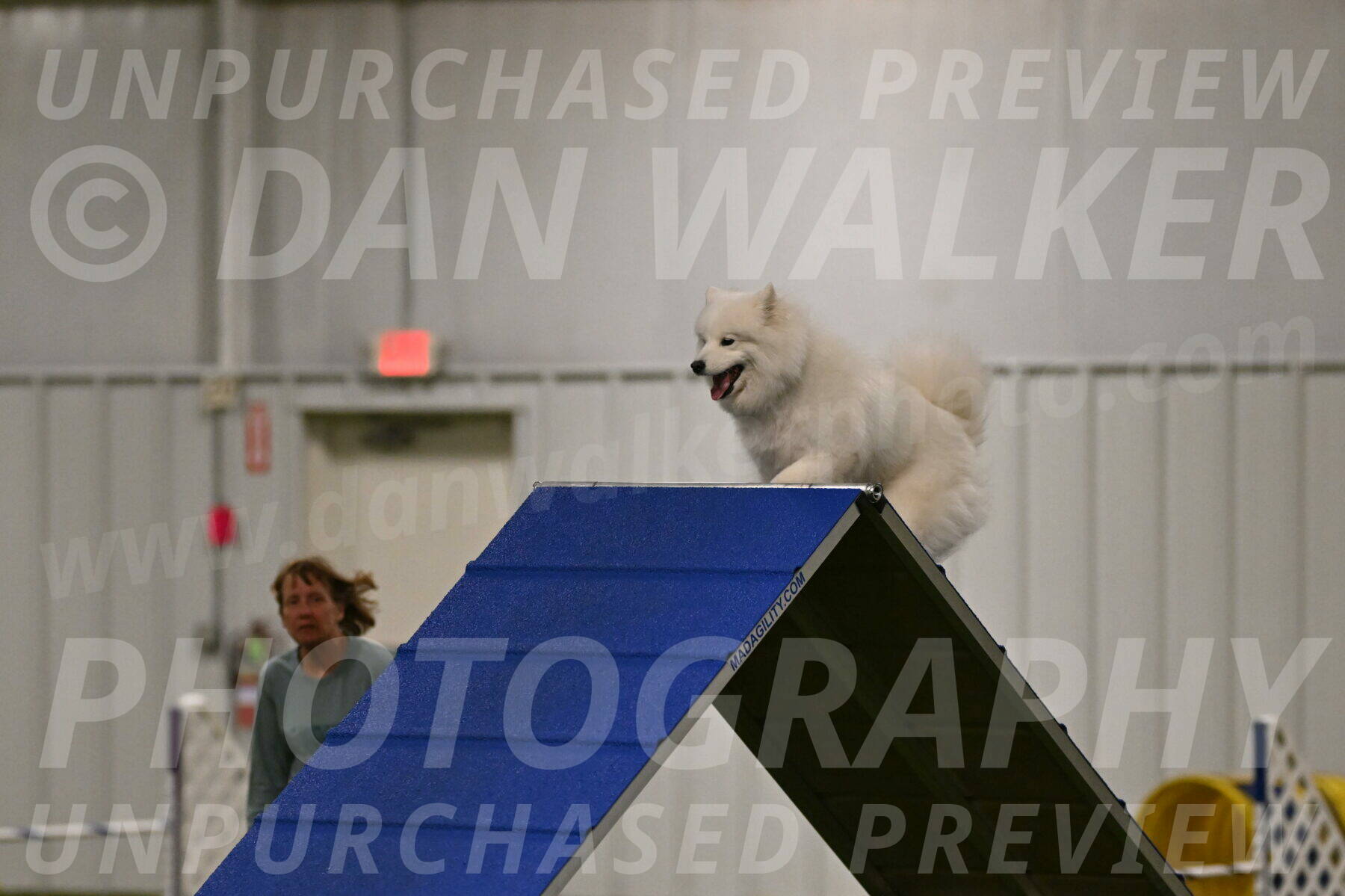 Expo-Pam-Lewis-03995