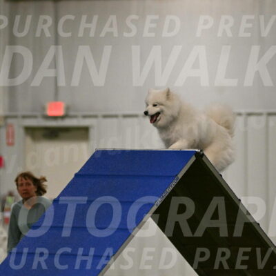 Expo-Pam-Lewis-03995