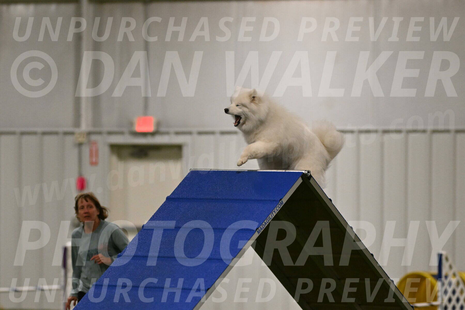 Expo-Pam-Lewis-03996