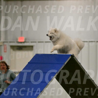 Expo-Pam-Lewis-03996