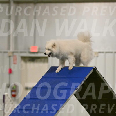 Expo-Pam-Lewis-03997