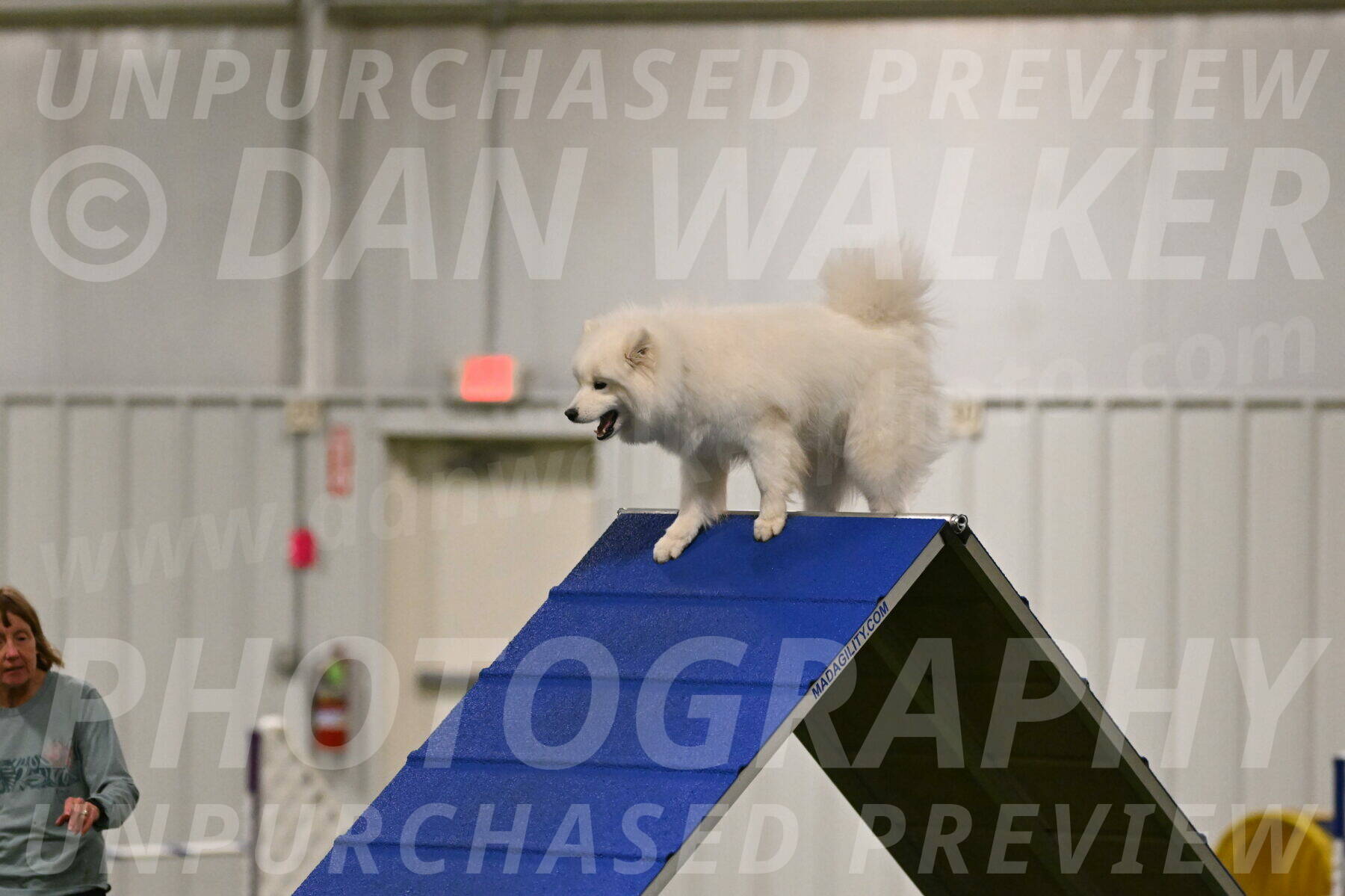 Expo-Pam-Lewis-03997