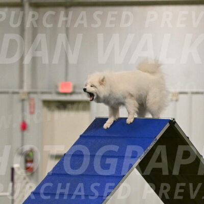 Expo-Pam-Lewis-03998