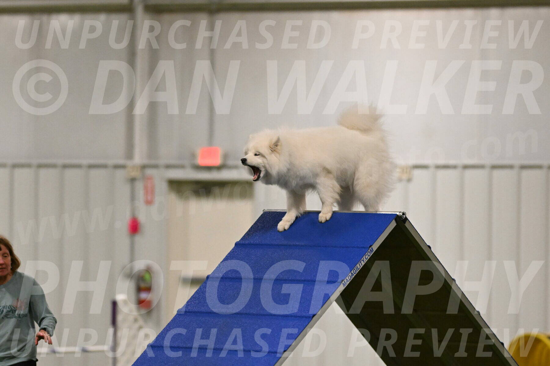 Expo-Pam-Lewis-03998