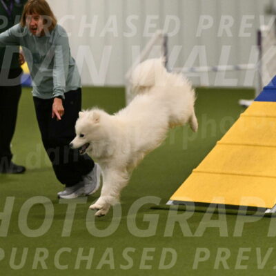 Expo-Pam-Lewis-03999