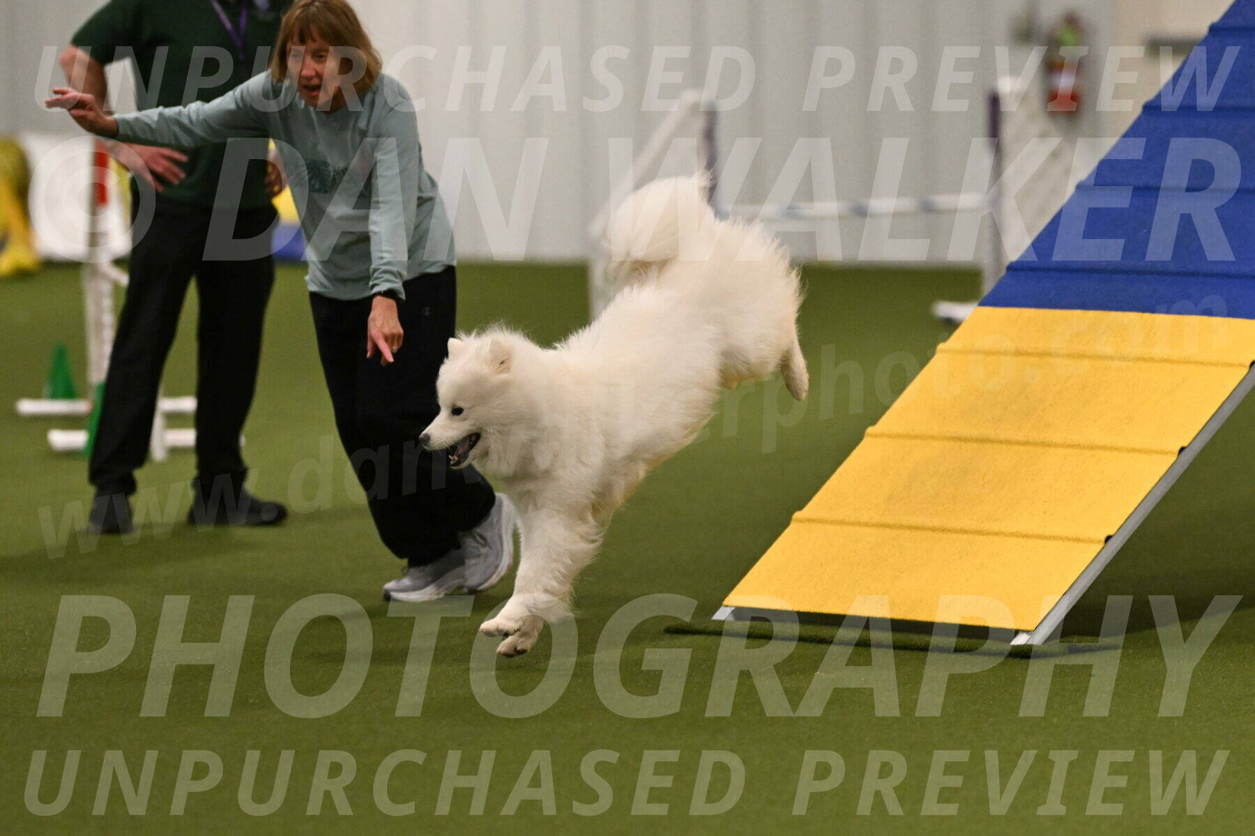 Expo-Pam-Lewis-03999