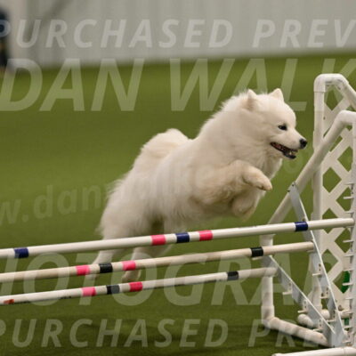 Expo-Pam-Lewis-04000