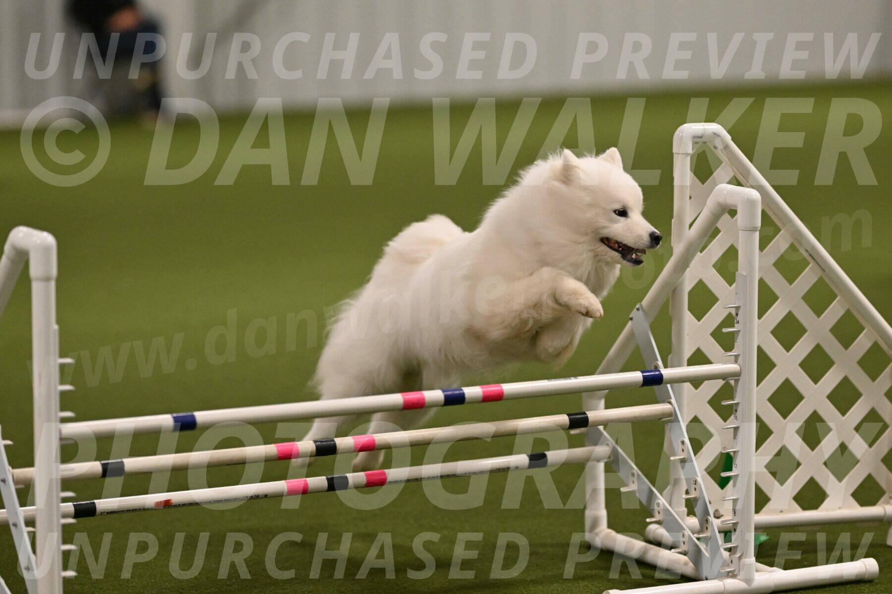 Expo-Pam-Lewis-04000