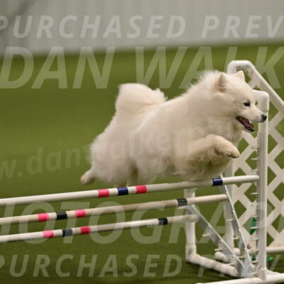 Expo-Pam-Lewis-04001