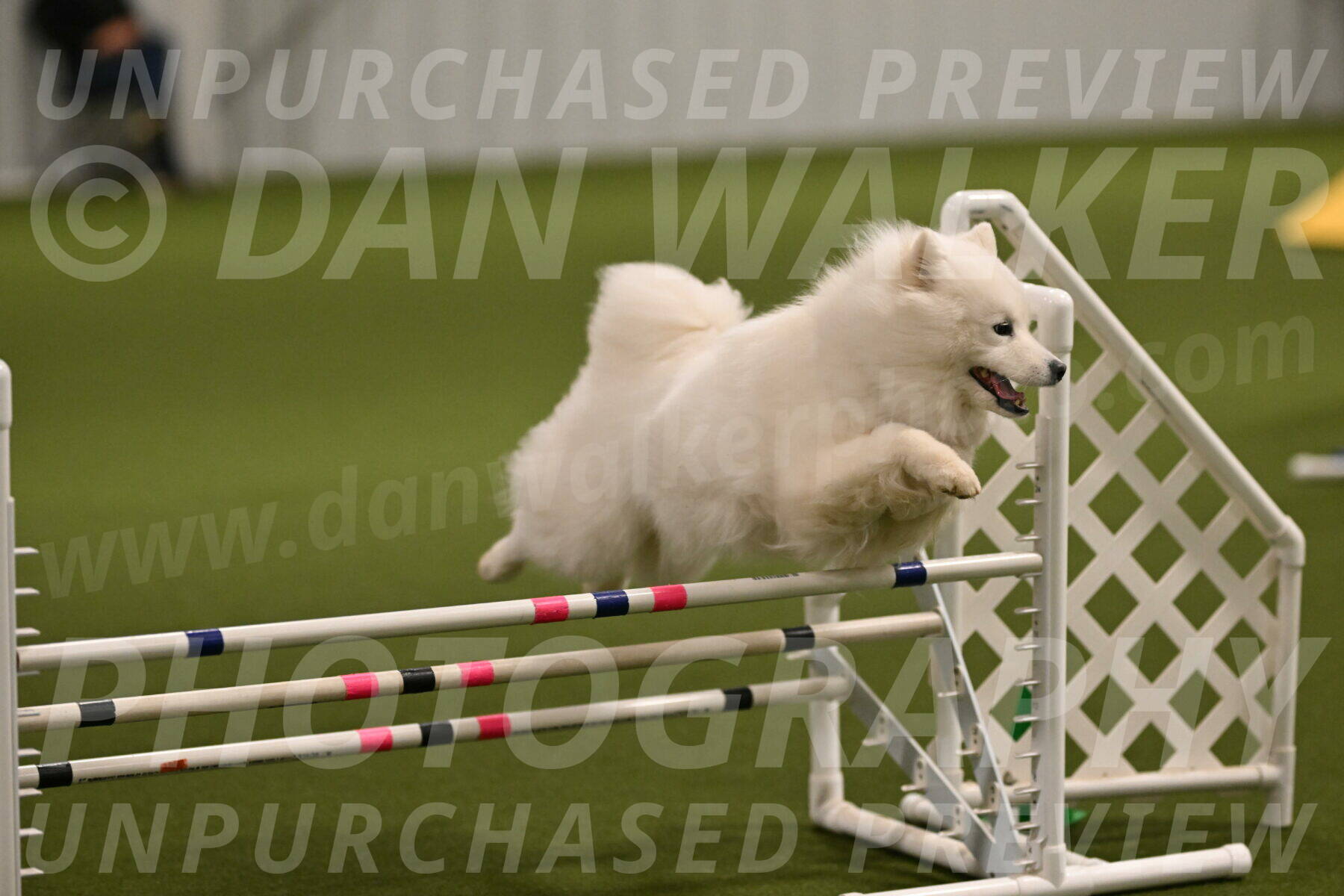 Expo-Pam-Lewis-04001