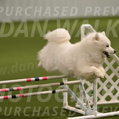 Expo-Pam-Lewis-04002