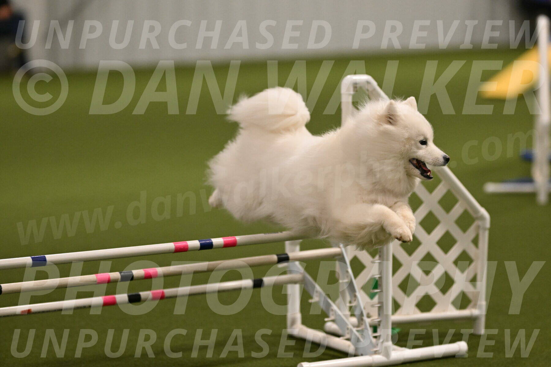 Expo-Pam-Lewis-04002