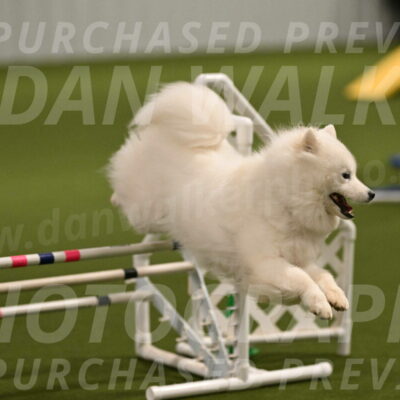 Expo-Pam-Lewis-04003