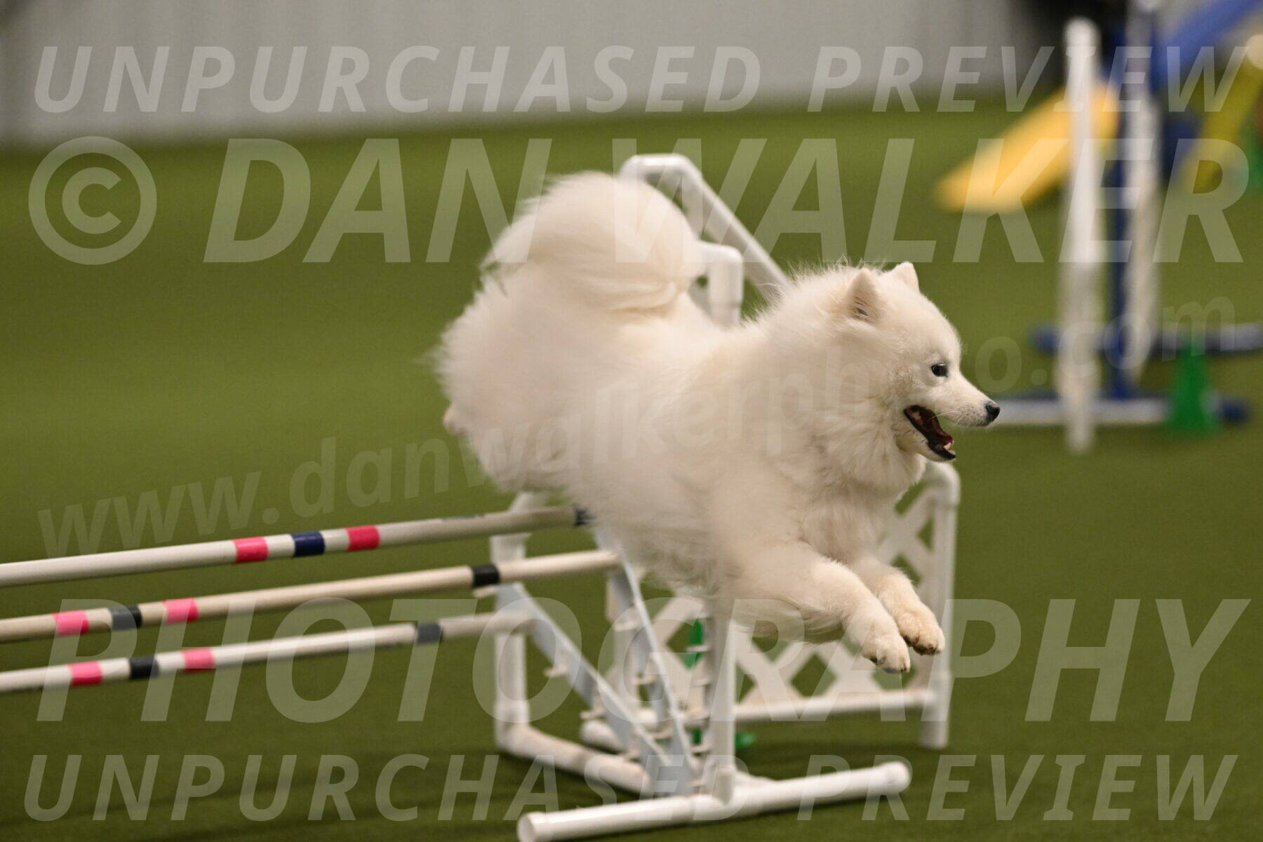 Expo-Pam-Lewis-04003