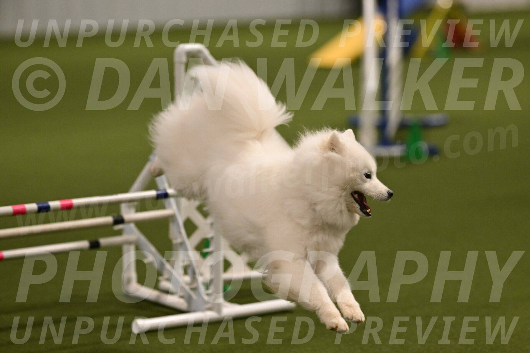 Expo-Pam-Lewis-04004