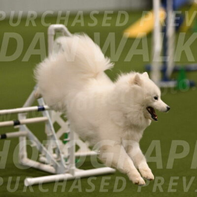 Expo-Pam-Lewis-04004