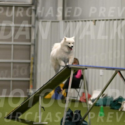 Expo-Pam-Lewis-04005