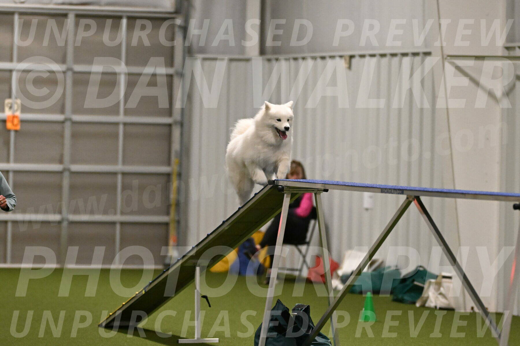 Expo-Pam-Lewis-04005