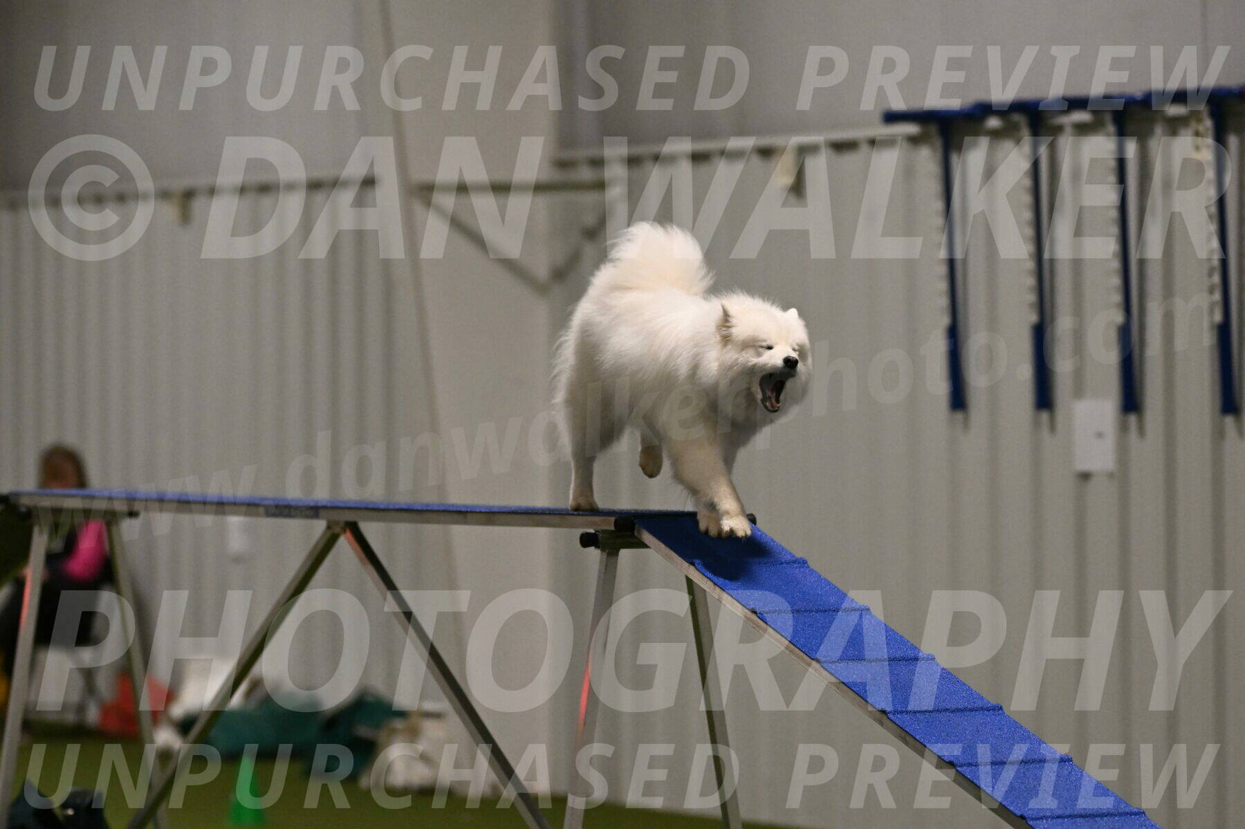 Expo-Pam-Lewis-04006