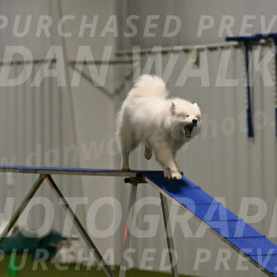 Expo-Pam-Lewis-04006