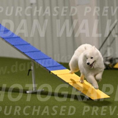 Expo-Pam-Lewis-04007