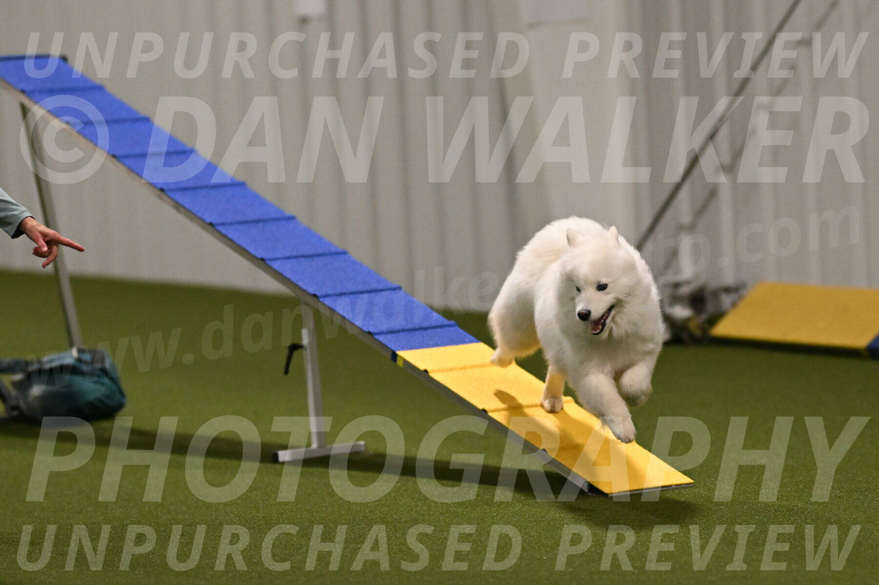 Expo-Pam-Lewis-04007