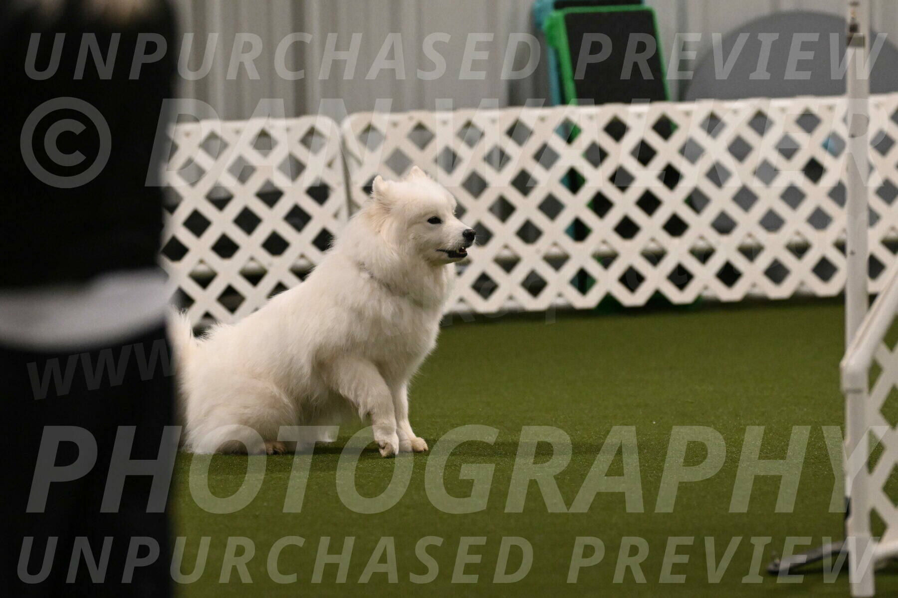 Expo-Pam-Lewis-04008