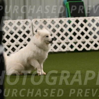 Expo-Pam-Lewis-04008