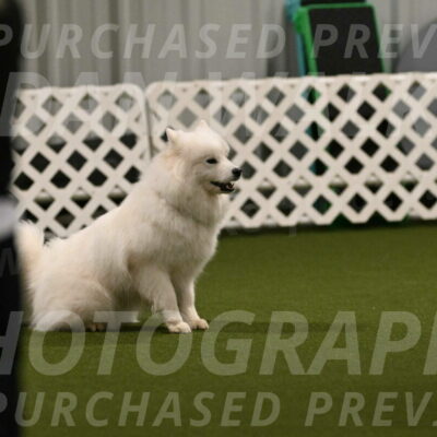 Expo-Pam-Lewis-04009